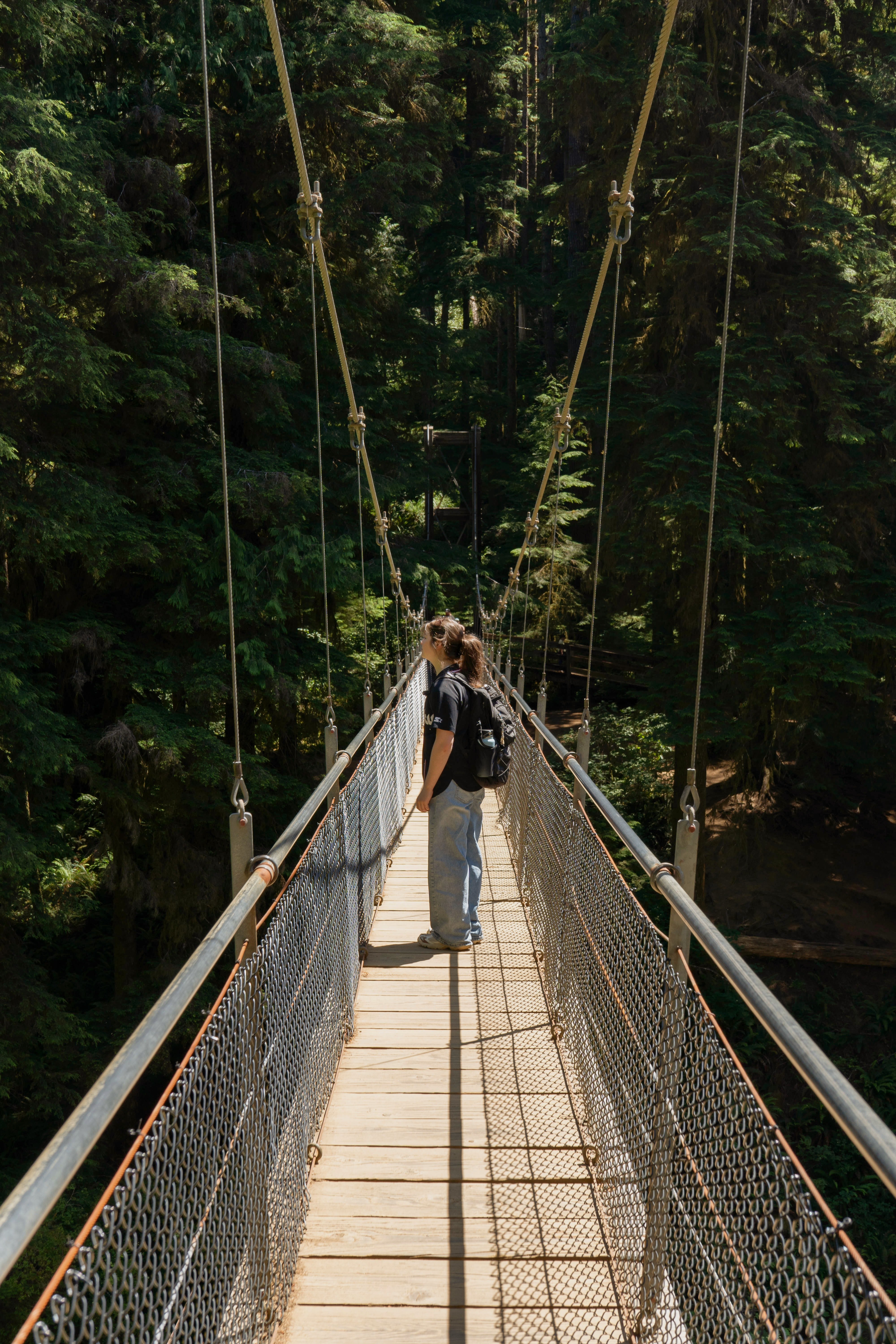A young person with long hair in a ponytail stands in profile on a narrow bridge amidst a lush forest